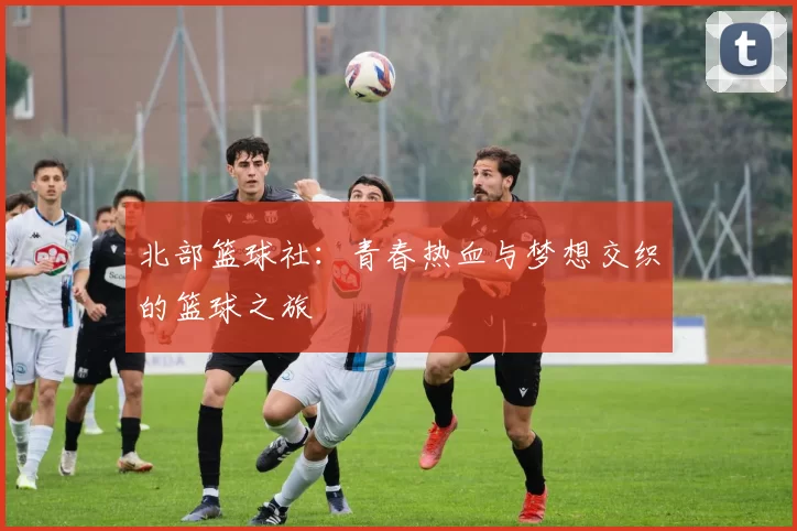 北部篮球社：青春热血与梦想交织的篮球之旅