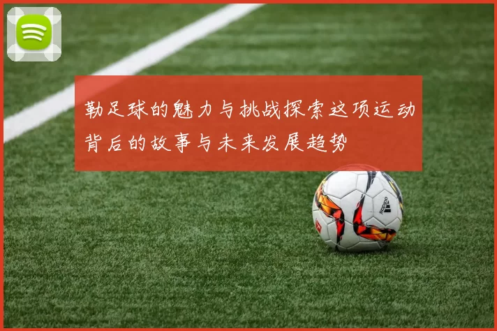 勒足球的魅力与挑战探索这项运动背后的故事与未来发展趋势