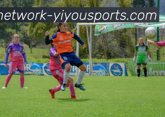 YY体育平台生态图