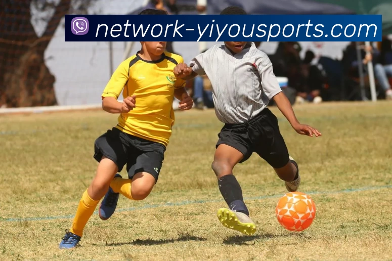 数据防护可视化